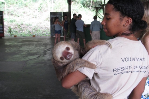 Von Panama City: Tour zu Monkey Island und Sloth Sanctuary