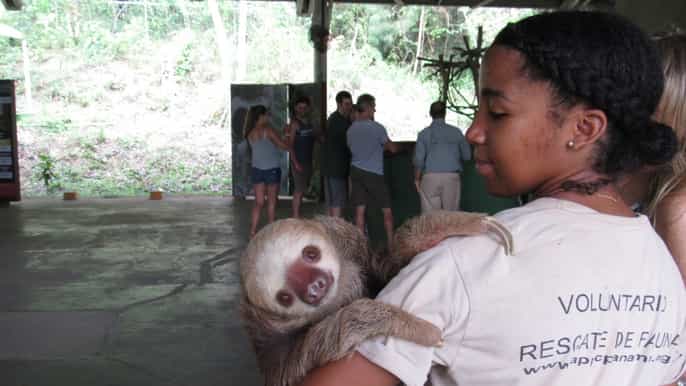 from panama city monkey island and sloth sanctuary tour