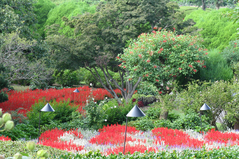 Colors of Japan Noko Island Park Garden och Wagyu BBQ-lunch