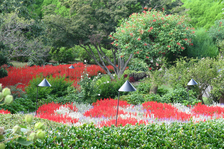 Colors of Japan Noko Island Park Garden and Wagyu BBQ Lunch