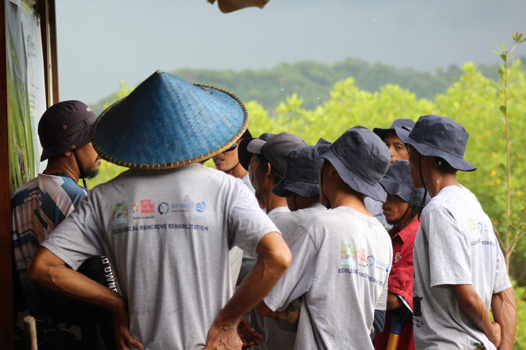 Bagek Kembar: Mangrove & Stingless Beekeeping Experience