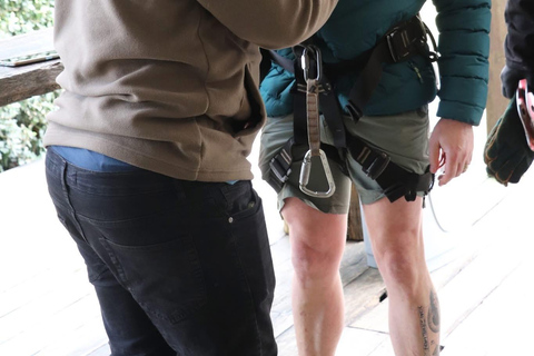 Cape Town: Zipline Adventures (Hotel Pickup &amp; Dropoff incl.)