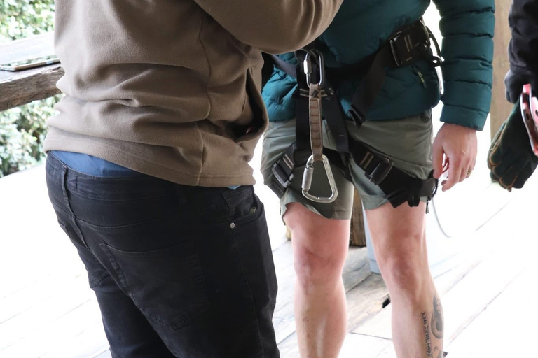 Cape Town: Zipline Adventures (Hotel Pickup &amp; Dropoff incl.)