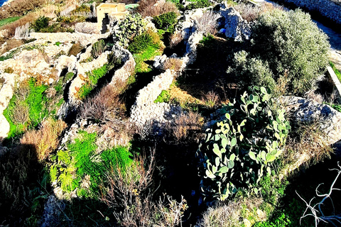 Gozo dévoilé : Randonnée guidée avec escalade de blocsGozo dévoilé : Randonnée guidée avec escalade de bloc