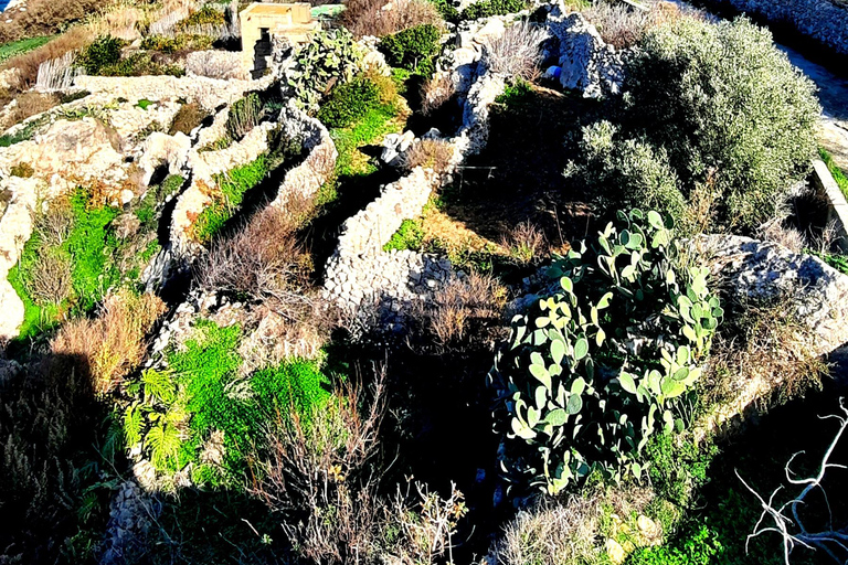 Gozo dévoilé : Randonnée guidée avec escalade de blocsGozo dévoilé : Randonnée guidée avec escalade de bloc