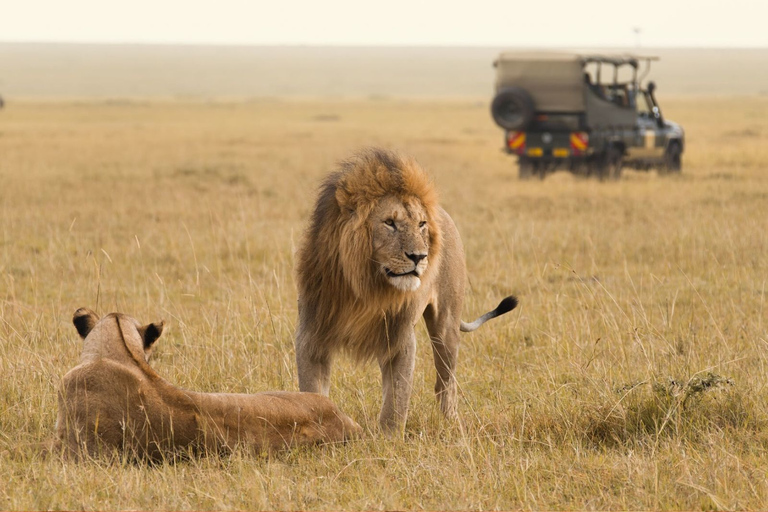 Nocne prywatne safari w Parku Narodowym AmboseliNocleg w parku narodowym Amboseli Prywatne safari