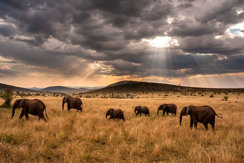 Nocne prywatne safari w Parku Narodowym AmboseliNocleg w parku narodowym Amboseli Prywatne safari