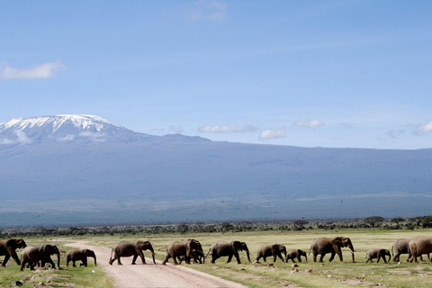 Nocne prywatne safari w Parku Narodowym AmboseliNocleg w parku narodowym Amboseli Prywatne safari