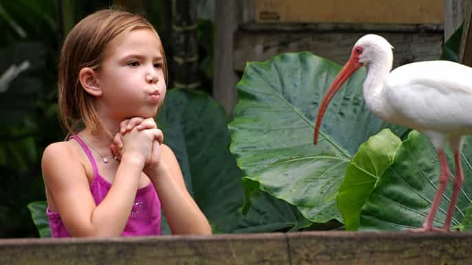 davie flamingo gardens wildlife sanctuary