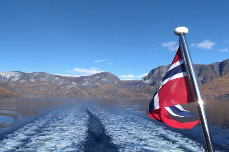 Bergen: croisière express dans le Sognefjord et visite guidée en chemin de fer