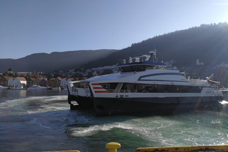 Ab Bergen: Sognefjord mit dem Schnellboot und der Eisenbahn
