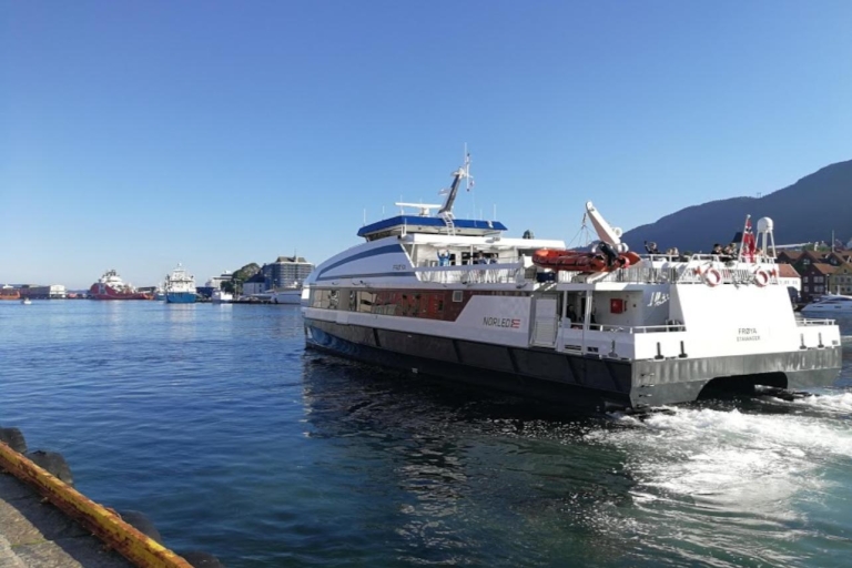 Bergen: crucero Sognefjord Express y visita guiada en tren