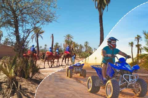 Palmeraie de Marrakech: Passeio de Camelo e Quadriciclo