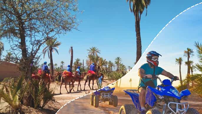 marrakech palmeraie camel ride quad bike experience