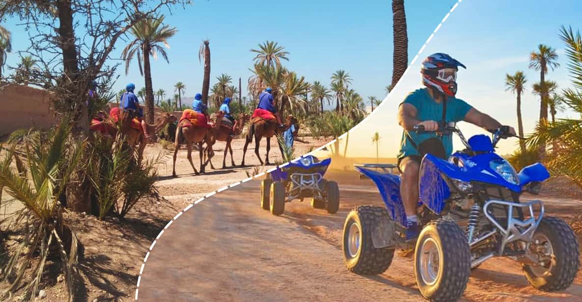 Marrakech Palmeraie: Camel Ride & Quad Bike Experience