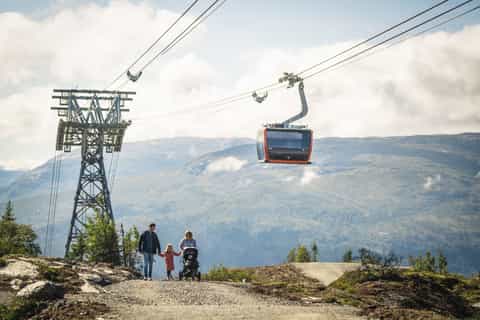 Bergen: Hardangerfjord, Voss Gondola, and 4 Great Waterfalls