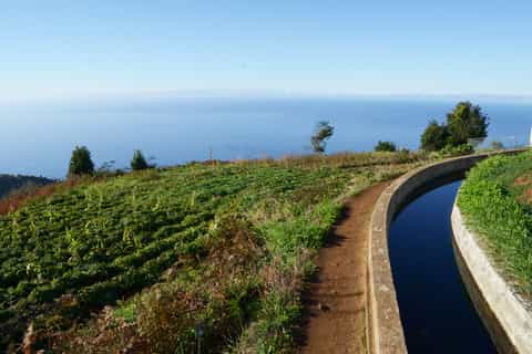 madeira hike from raposeira to prazeres