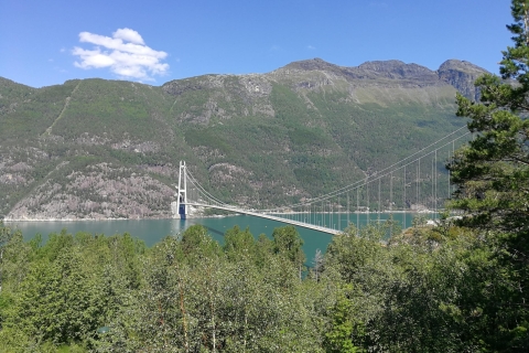 Bergen: Hardangerfjord, télécabine de Voss et 4 grandes cascades