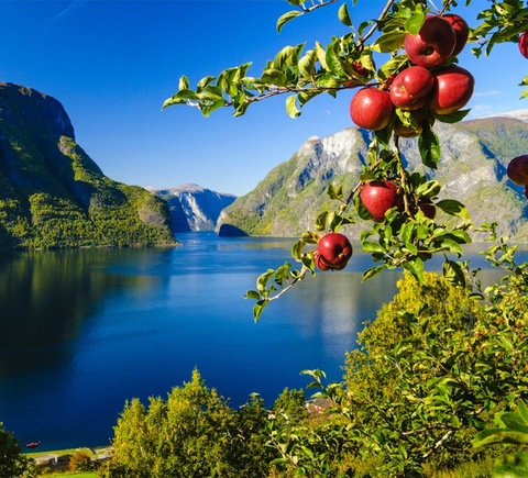 National parks