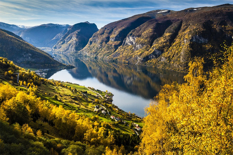 Bergen : croisière Nærøyfjord et chemin de fer Flåm jusqu'à Oslo