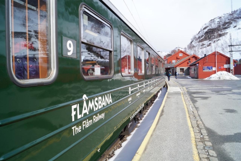 Desde Bergen: crucero Nærøyfjord y tren de Flåm a Oslo