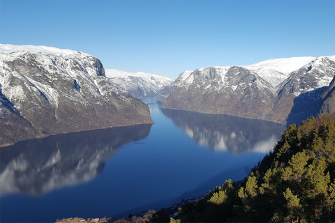 Bergen : croisière Nærøyfjord et chemin de fer Flåm jusqu'à Oslo