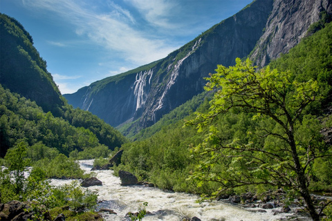 Da Bergen: crociera sul Nærøyfjord e Flåmsbana per Oslo