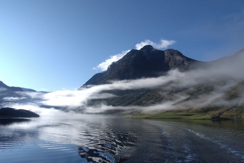 Bergen: Nærøyfjord-Bootsfahrt & Flåmbahn nach Oslo