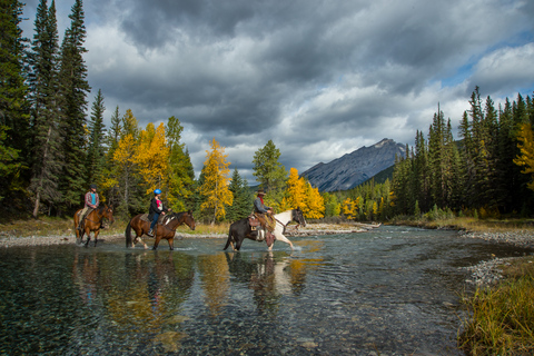 Banff: 4-godzinna średniozaawansowana jazda konna w górach Sulphur