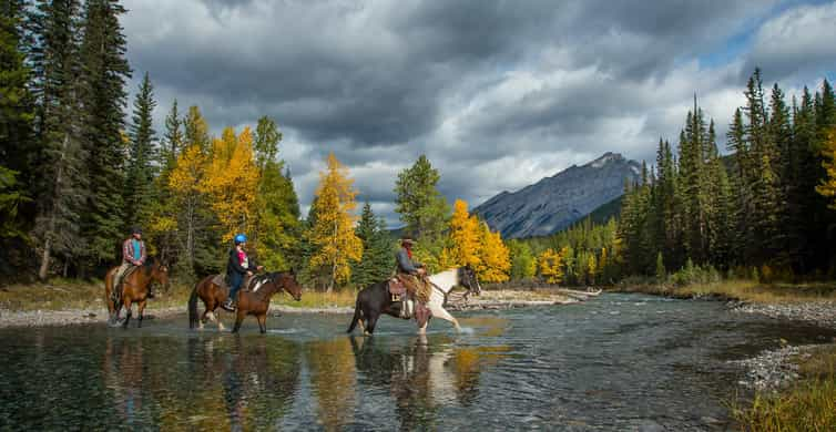 Banff: 4-Hour Sulphur Mountain Intermediate Horseback Ride | GetYourGuide