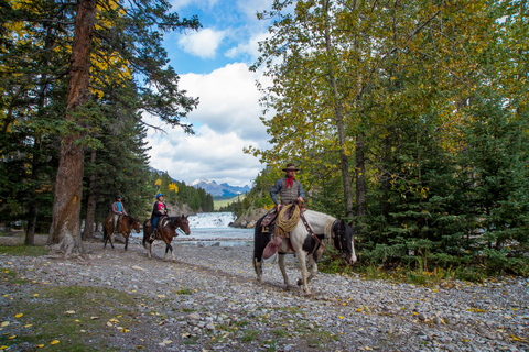 Banff: giro a cavallo intermedio di 4 ore sulphur mountain