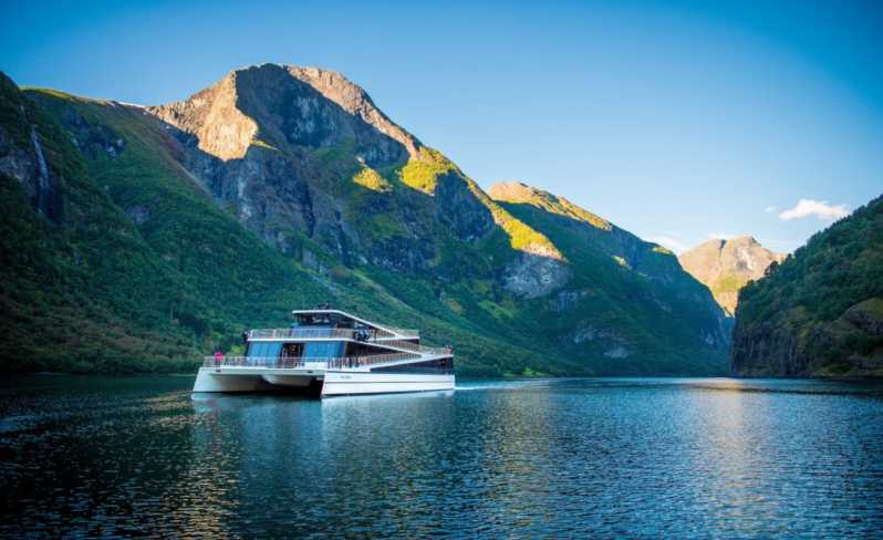 Bergen: boottocht Nærøyfjord en treinrit van Flåm naar Oslo