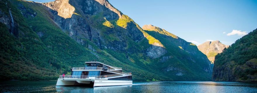 De Bergen à Oslo : croisière privée dans le Nærøyfjord et chemin de fer de Flåm
