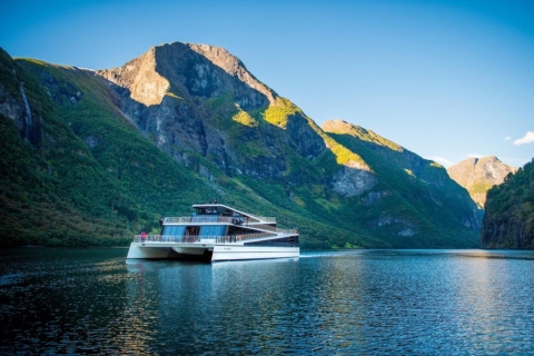 Bergen: Nærøyfjord-Bootsfahrt & Flåmbahn nach Oslo