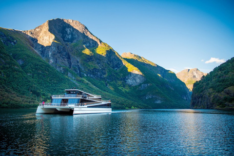 Bergen: Båtutflykt på Nærøyfjorden och Flåmsbanan till Oslo