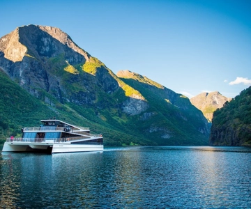 Bergen: Crucero por el Nærøyfjord y viaje en tren de Flåm a Oslo