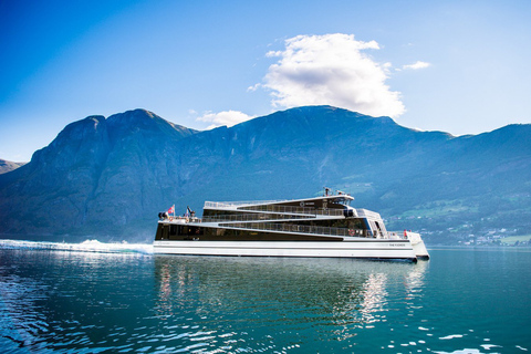 Bergen: Nærøyfjord Cruise and Flåm Railway to Oslo