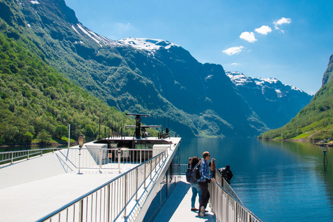 Bergen: Nærøyfjord-Bootsfahrt & Flåmbahn nach Oslo