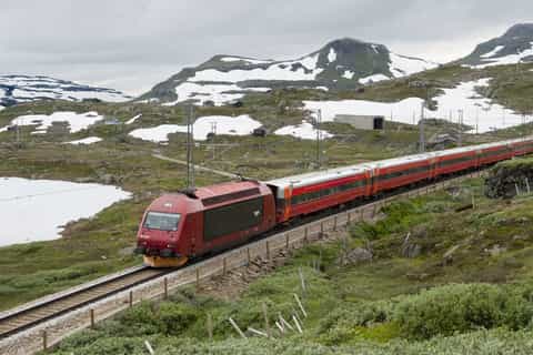 Bergen: Prywatny rejs po fiordach i kolej Flåm