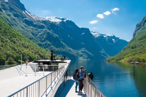 Bergen: Private Fjord Cruise en Flåm Railway