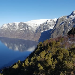 Bergen: RIB Sognefjord Safari i prywatna wycieczka koleją Flåm