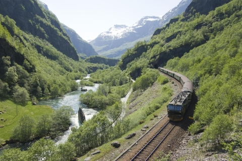 Bergen: tour privado de RIB Sognefjord Safari y Flåm Railway