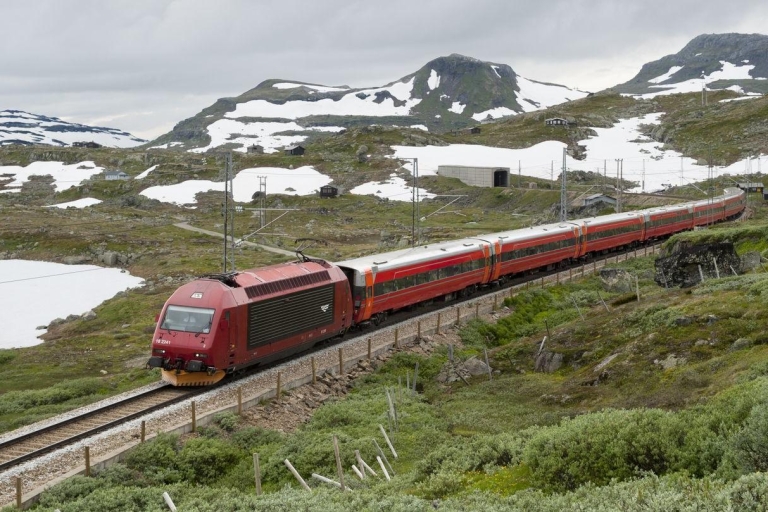 Bergen: RIB Sognefjord Safari en Flåm Railway privétour