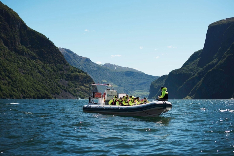 Bergen: RIB Sognefjord Safari en Flåm Railway privétour