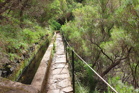 Madeira: 25 Fountains Rabaçal Forest Walk