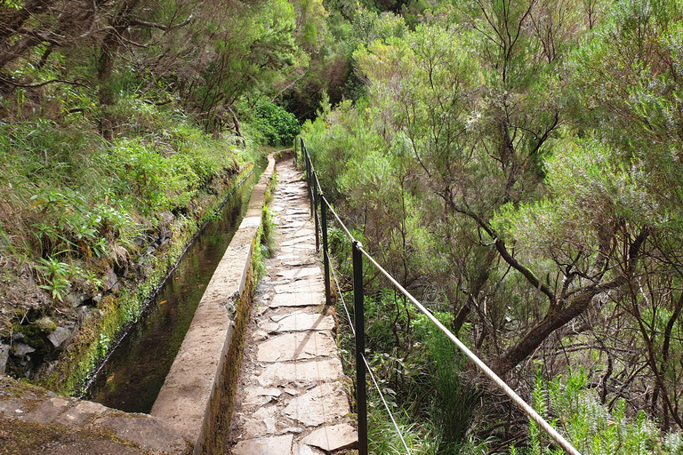 Madeira: 25 Fountains Rabaçal Forest Walk
