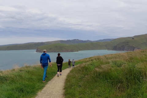 Christchurch: Godley Head & Lyttelton Guided Walking TourGodley Head & Lyttelton Prywatna wycieczka piesza z przewodnikiem