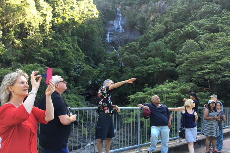 Cairns: Half-Day City Sightseeing TourWycieczka zaczynająca się od Cairns