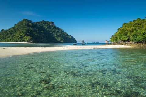 Ko Yao Yai: 4-Island Private Speedboat Charter