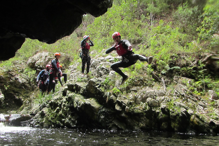 Plettenberg Bay: Canyoning Trip Plettenberg Bay: Standard Canyoning Trip